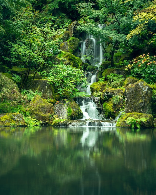 Portrait photograph of a waterfall flowing into a lake, surrounded by rainforest